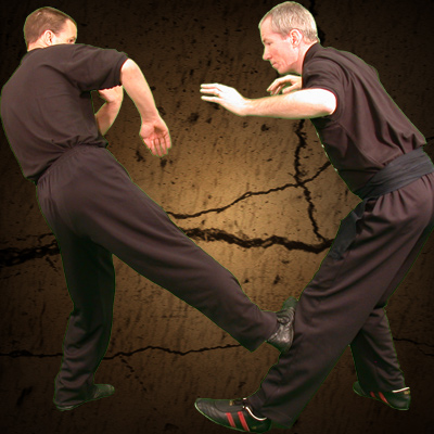 Ashley Phillips Sifu: Wing Chun Kung Fu Low Side Kick